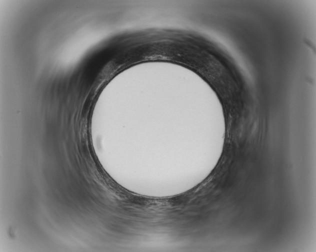 X0000098140099200805151150