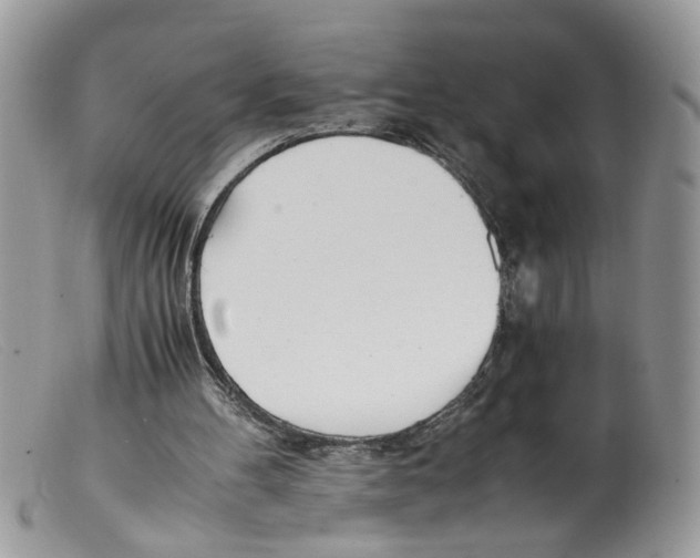 X0000098140100200805151150