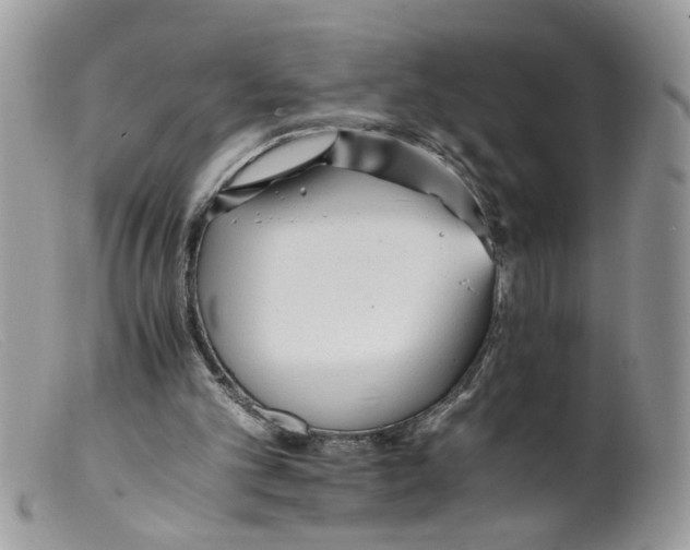 X0000098140101200805151150