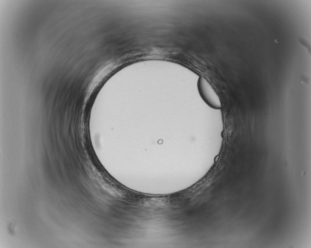 X0000098140102200805151150