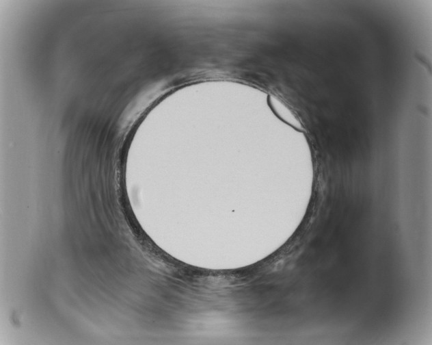 X0000098140103200805151150