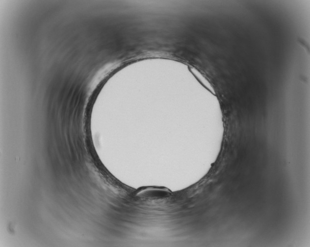 X0000098140104200805151150