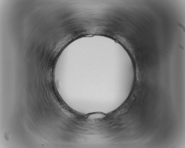 X0000098140105200805151150