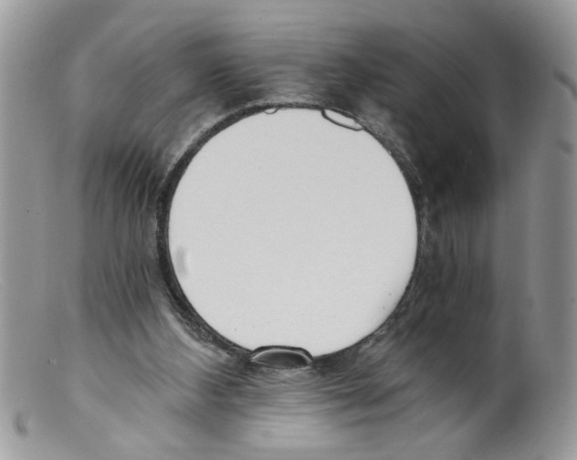 X0000098140108200805151150