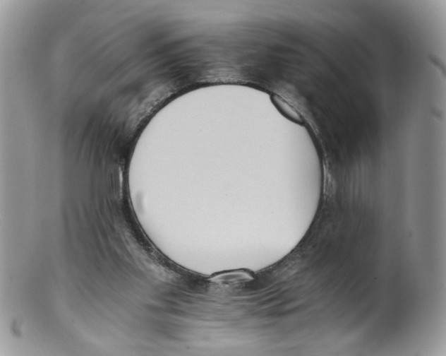 X0000098140109200805151150