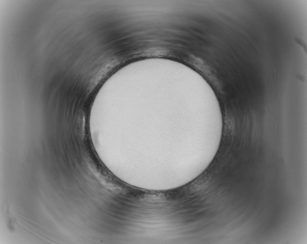 X0000098140110200805151150