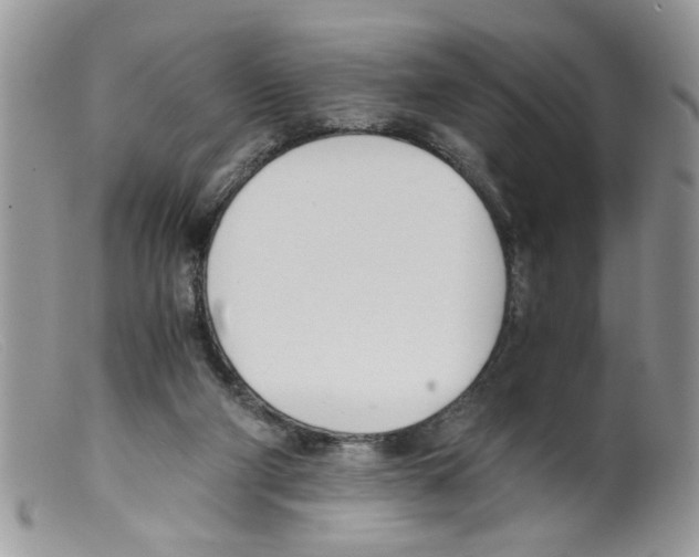 X0000098140114200805151150