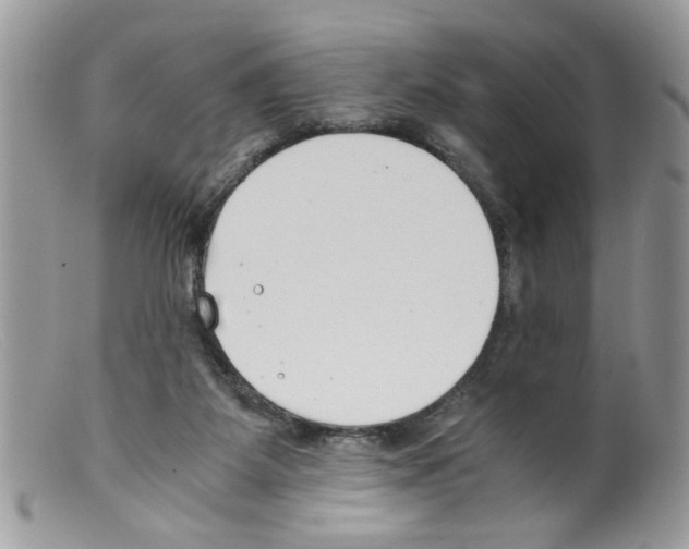 X0000098140115200805151150