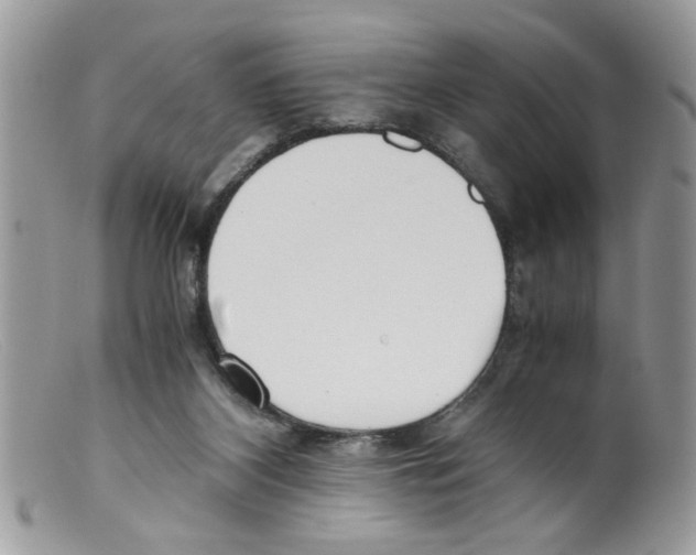 X0000098140116200805151150