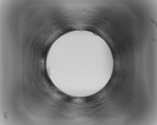 X0000098140117200805151150