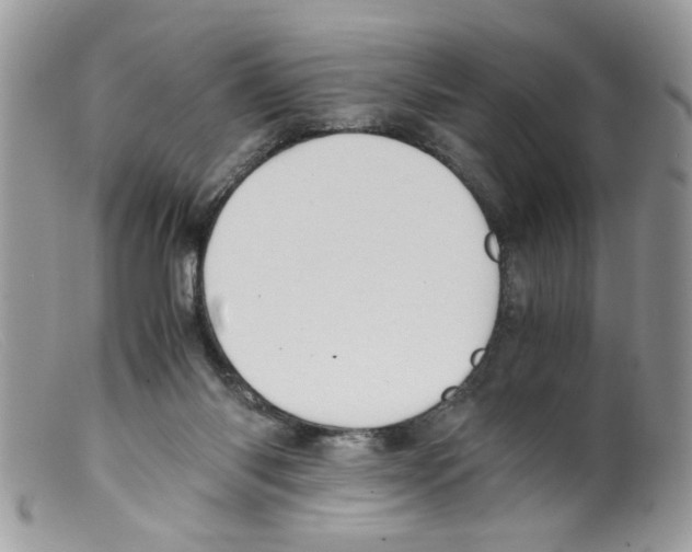 X0000098140118200805151150