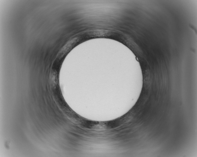 X0000098140119200805151150