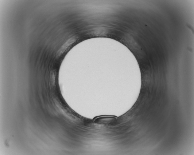 X0000098140120200805151150