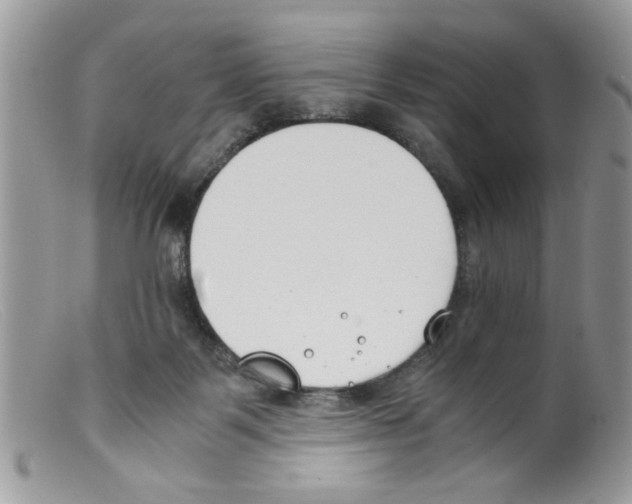 X0000098140123200805151150