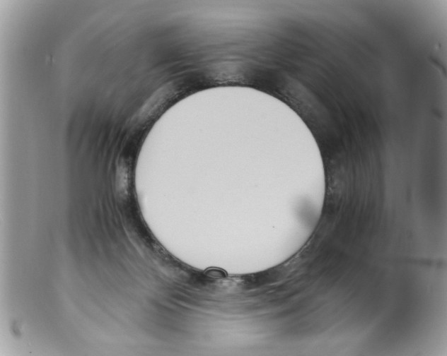 X0000098140124200805151150