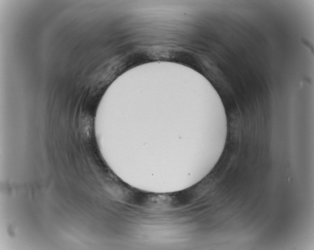 X0000098140125200805151150