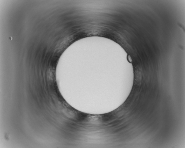 X0000098140126200805151150