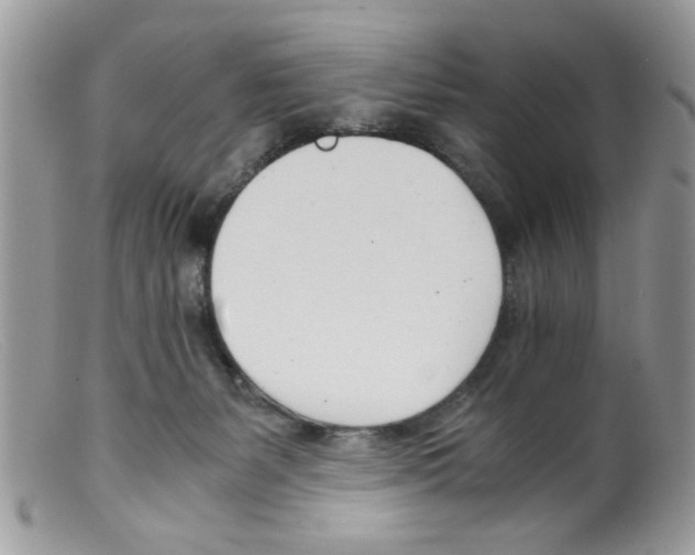 X0000098140127200805151150