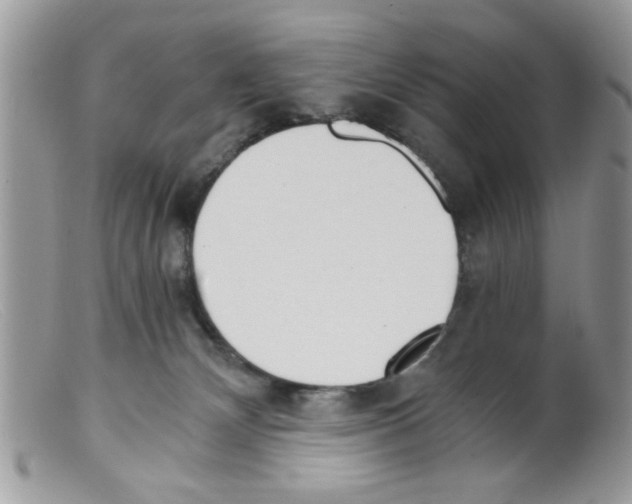 X0000098140132200805151150