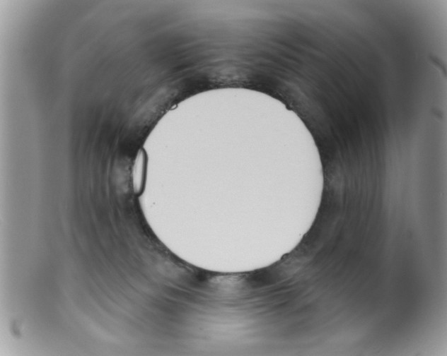 X0000098140133200805151150