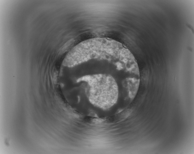 X0000098140139200805151149