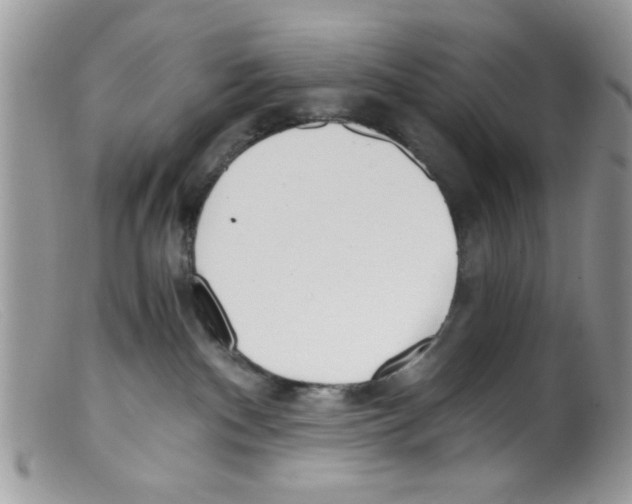 X0000098140140200805151149