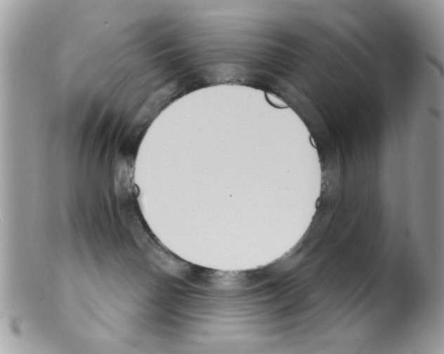 X0000098140142200805151149