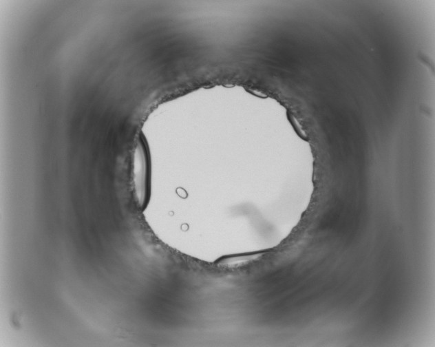 X0000098140144200805151149