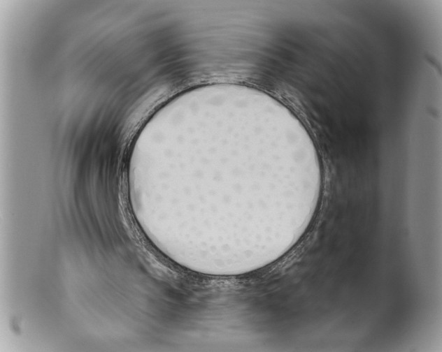 X0000098140145200805151149