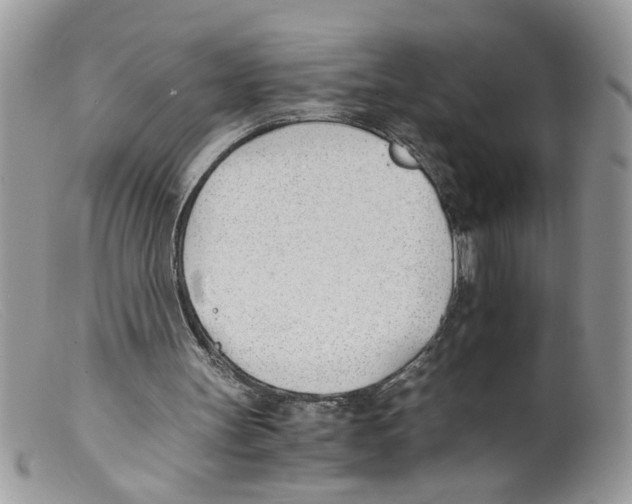 X0000098140147200805151149