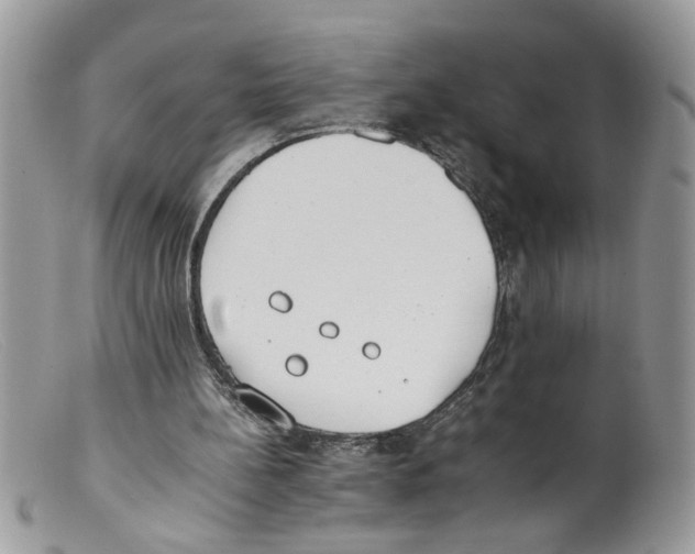 X0000098140148200805151149