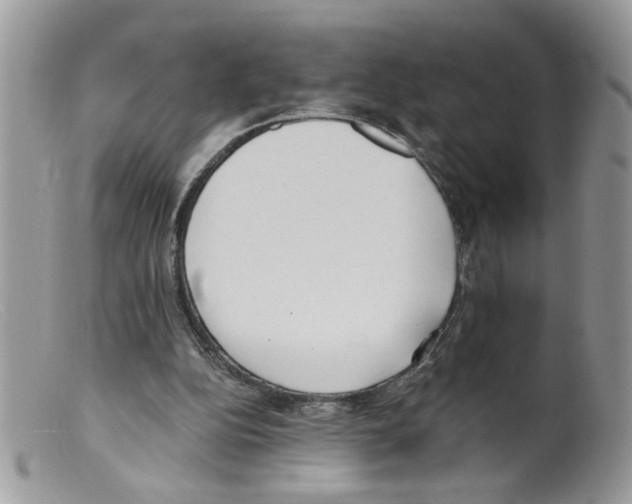 X0000098140152200805151149