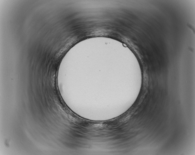 X0000098140153200805151149