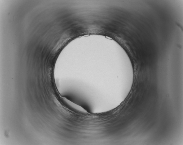 X0000098140154200805151149