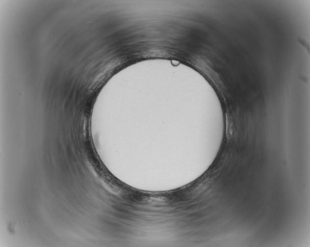 X0000098140157200805151149