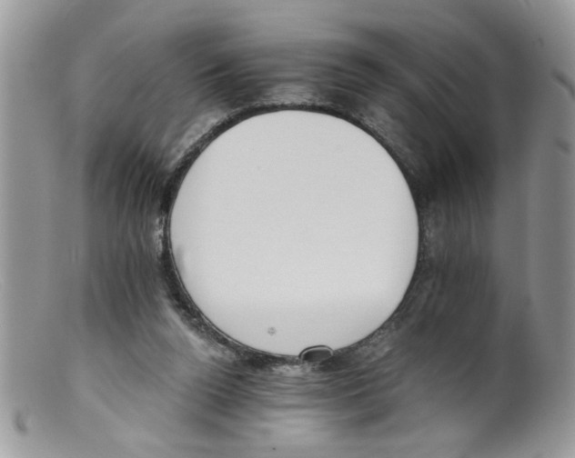 X0000098140160200805151149