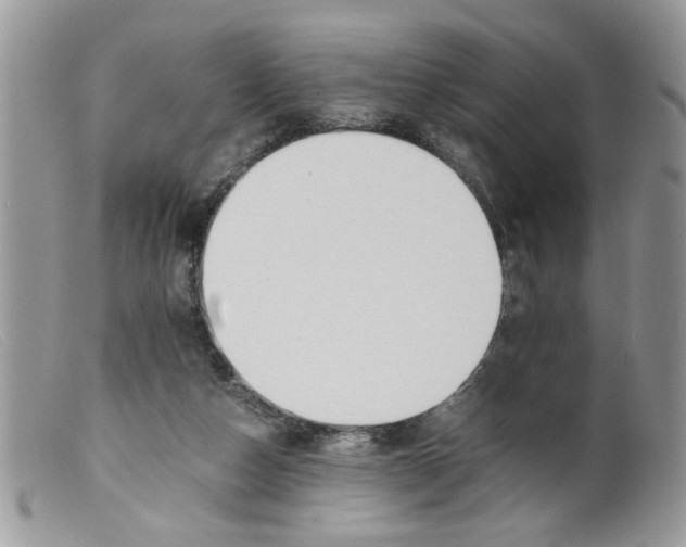 X0000098140162200805151149