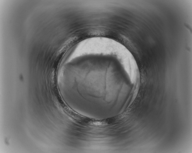 X0000098140163200805151149