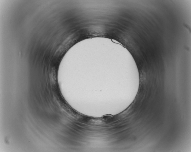 X0000098140170200805151149