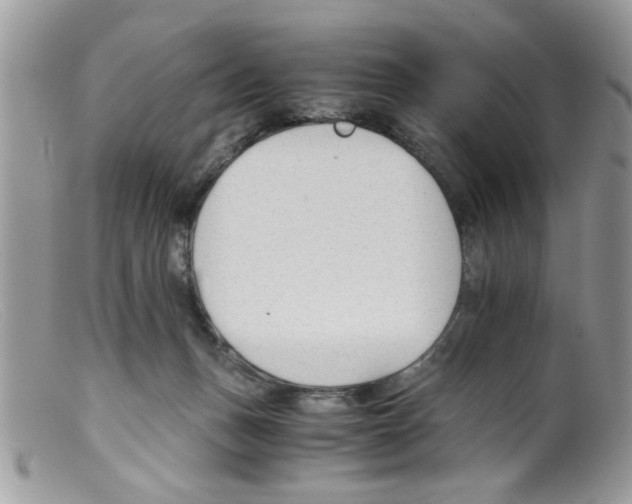 X0000098140175200805151149