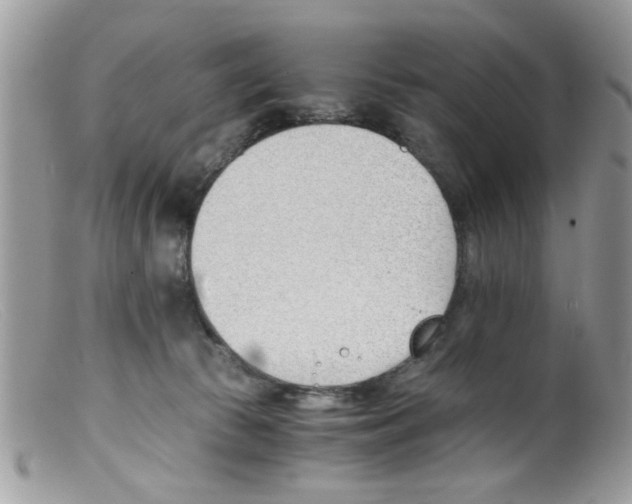 X0000098140177200805151149