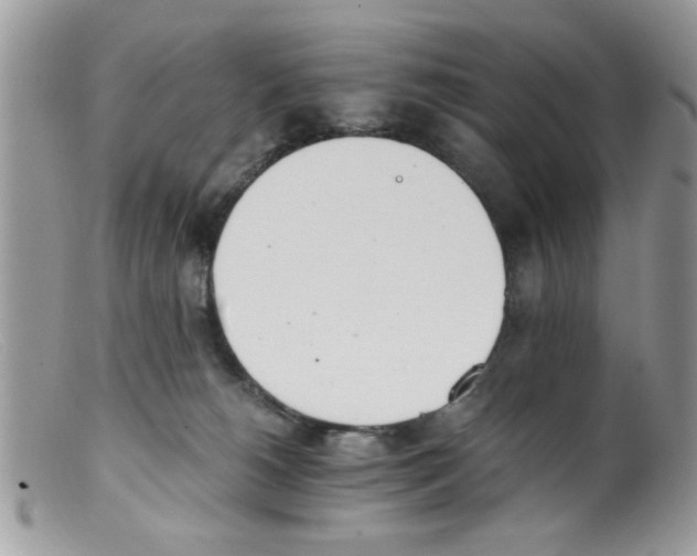 X0000098140180200805151149