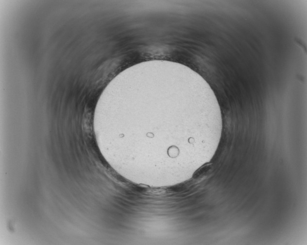 X0000098140181200805151149