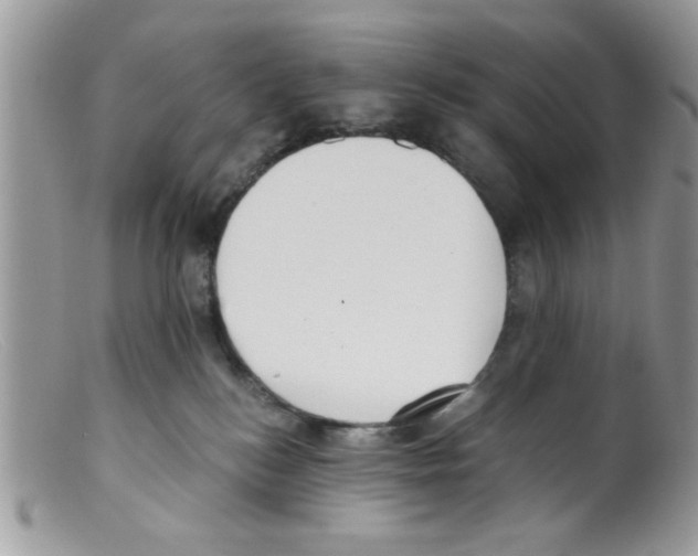 X0000098140184200805151149