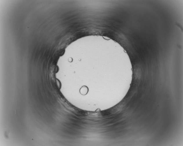 X0000098140185200805151149