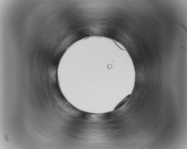 X0000098140188200805151149