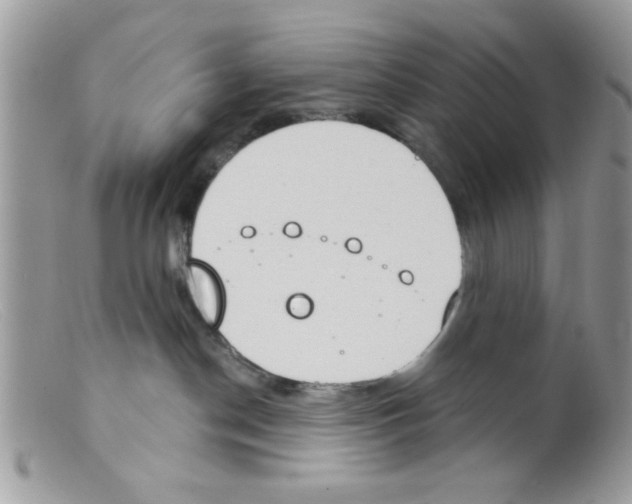 X0000098140190200805151149