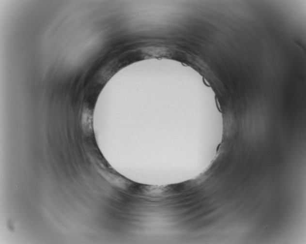 X0000098140191200805151149