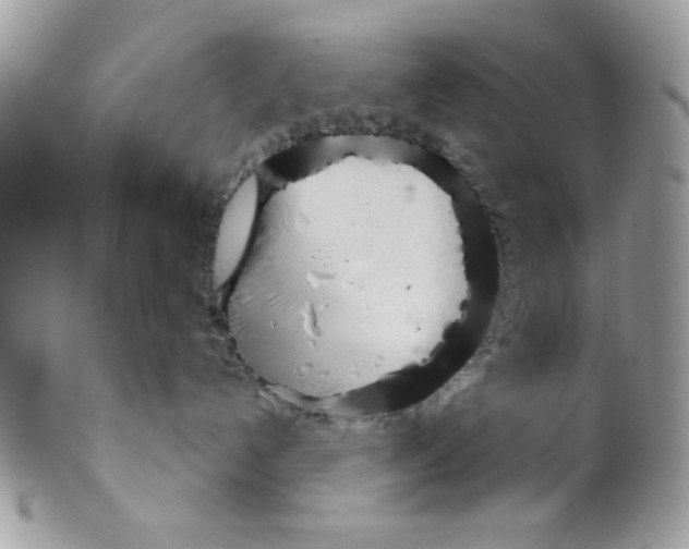 X0000098140192200805151149