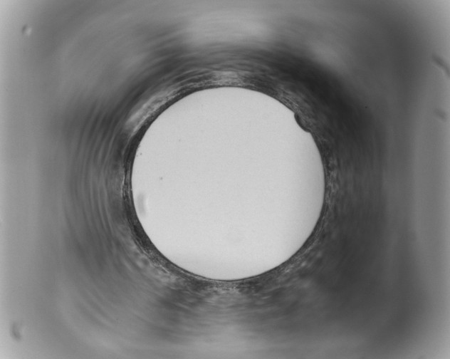 X0000098140194200805151149